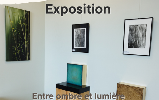 Animations proposées par l'Office de Tourisme Le Costellan